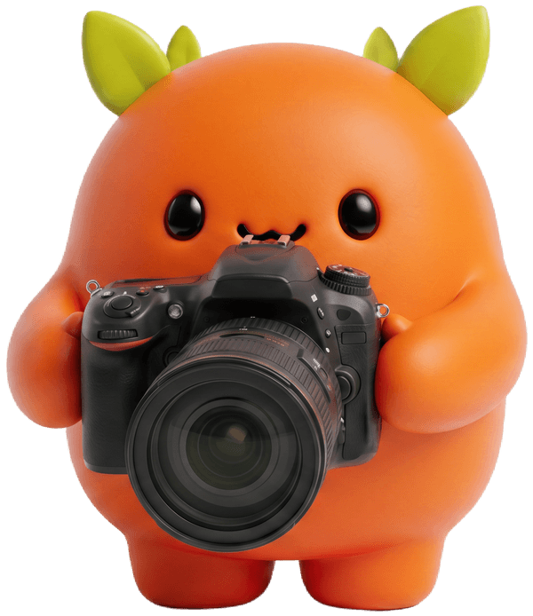 Photo & Video